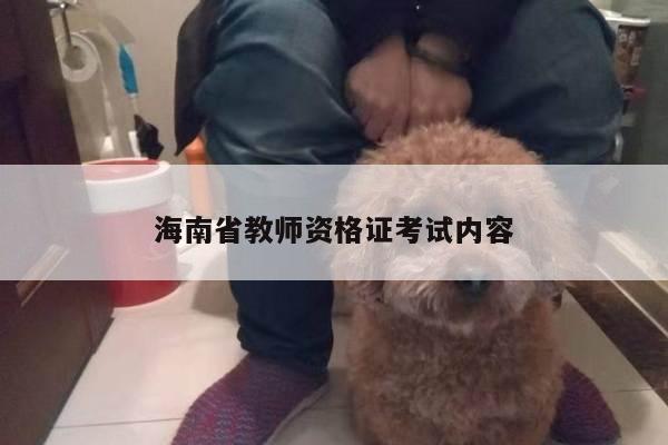 海南省教师资格证考试内容