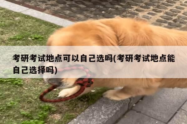 考研考试地点可以自己选吗(考研考试地点能自己选择吗)