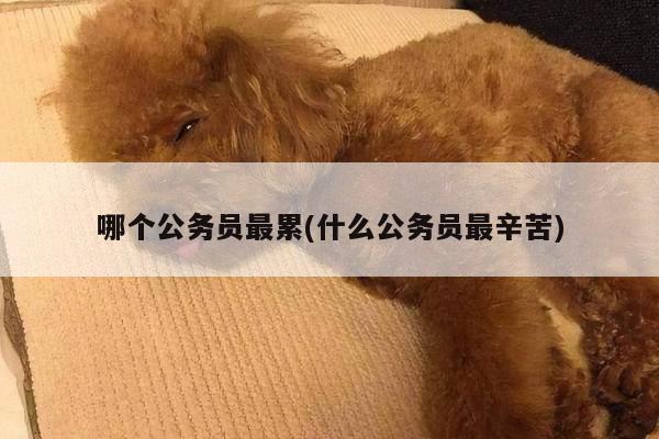 哪个公务员最累(什么公务员最辛苦)