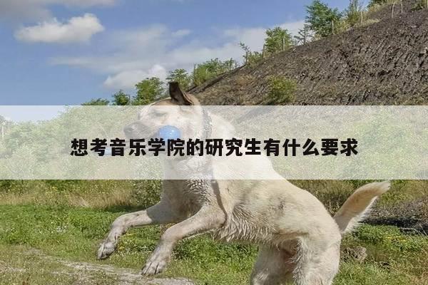 想考音乐学院的研究生有什么要求