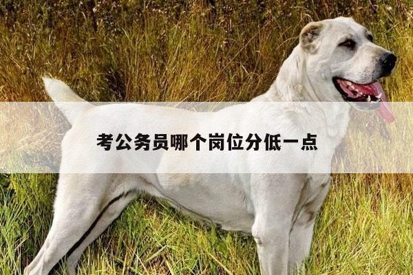 考公务员哪个岗位分低一点