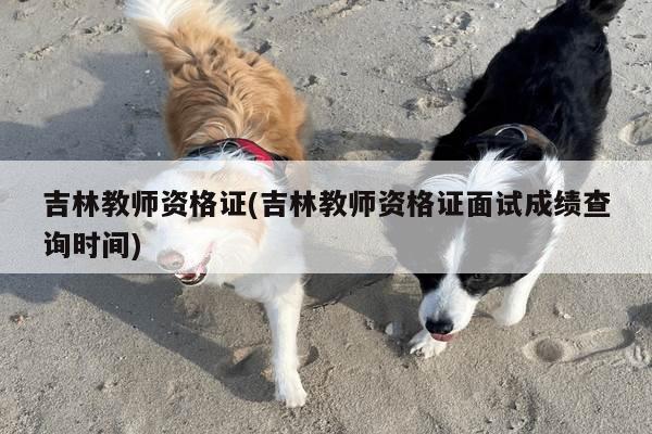 吉林教师资格证(吉林教师资格证面试成绩查询时间)