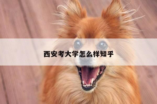 西安考大学怎么样知乎