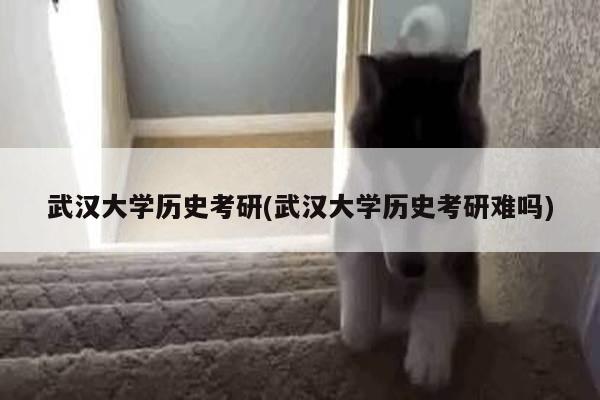 武汉大学历史考研(武汉大学历史考研难吗)