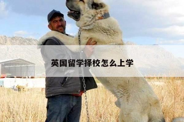 英国留学择校怎么上学