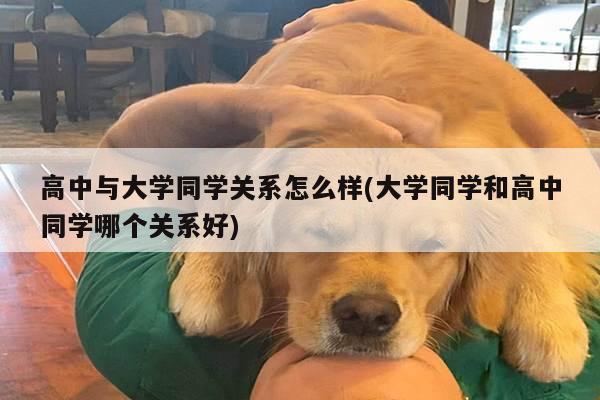 高中与大学同学关系怎么样(大学同学和高中同学哪个关系好)
