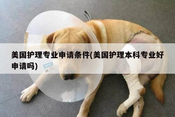 美国护理专业申请条件(美国护理本科专业好申请吗)