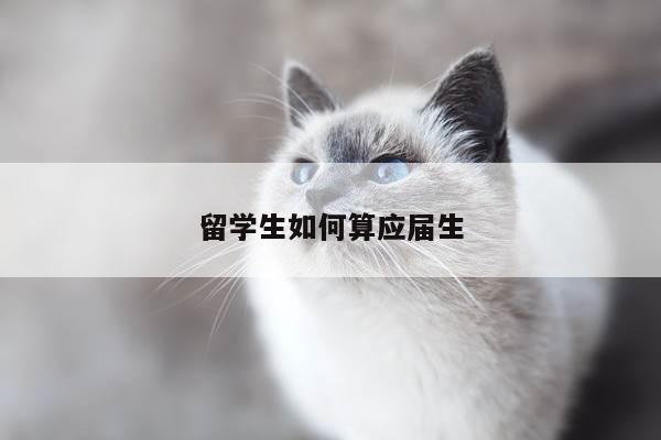 留学生如何算应届生