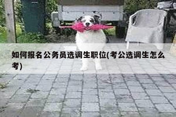 如何报名公务员选调生职位(考公选调生怎么考)