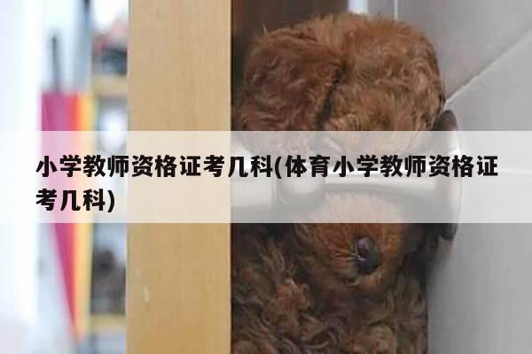 小学教师资格证考几科(体育小学教师资格证考几科)