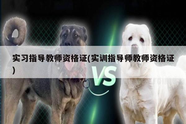 实习指导教师资格证(实训指导师教师资格证)