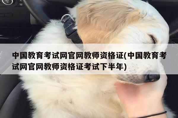 中国教育考试网官网教师资格证(中国教育考试网官网教师资格证考试下半年)