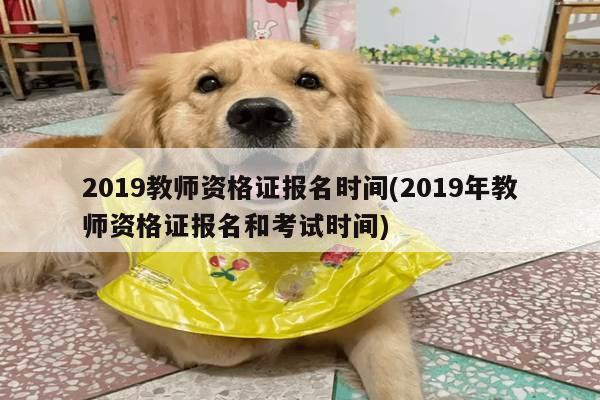 2019教师资格证报名时间(2019年教师资格证报名和考试时间)