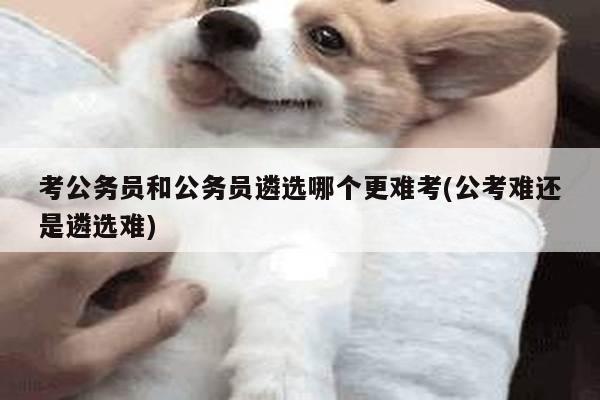 考公务员和公务员遴选哪个更难考(公考难还是遴选难)