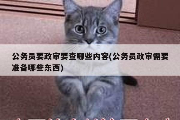 公务员要政审要查哪些内容(公务员政审需要准备哪些东西)