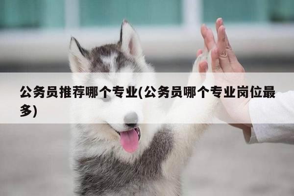 公务员推荐哪个专业(公务员哪个专业岗位最多)