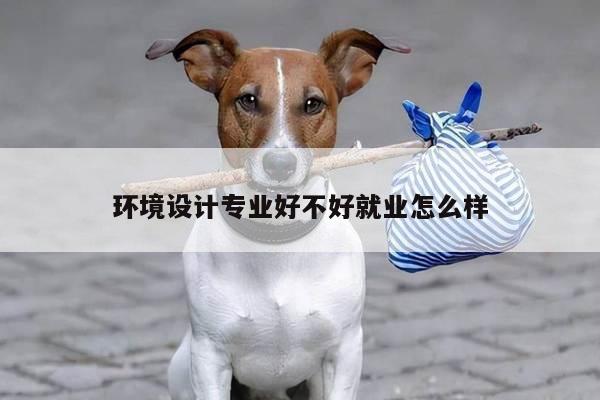 环境设计专业好不好就业怎么样