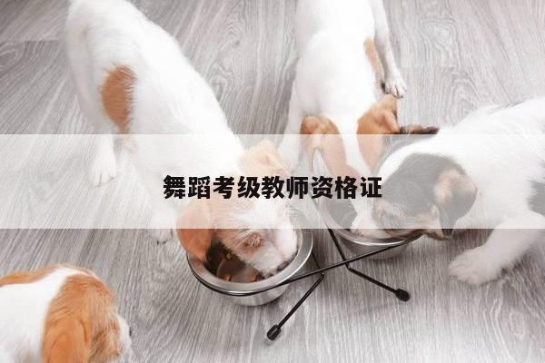 舞蹈考级教师资格证