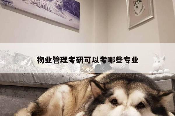 物业管理考研可以考哪些专业