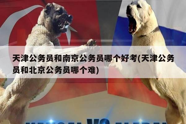 天津公务员和南京公务员哪个好考(天津公务员和北京公务员哪个难)