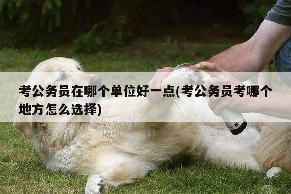 考公务员在哪个单位好一点(考公务员考哪个地方怎么选择)