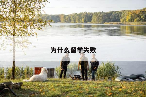 为什么留学失败