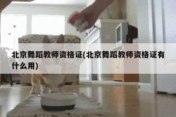 北京舞蹈教师资格证(北京舞蹈教师资格证有什么用)