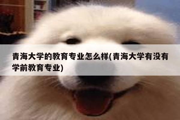 青海大学的教育专业怎么样(青海大学有没有学前教育专业)