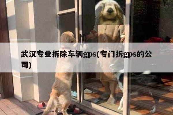 武汉专业拆除车辆gps(专门拆gps的公司)