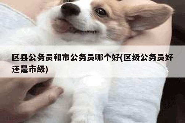 区县公务员和市公务员哪个好(区级公务员好还是市级)