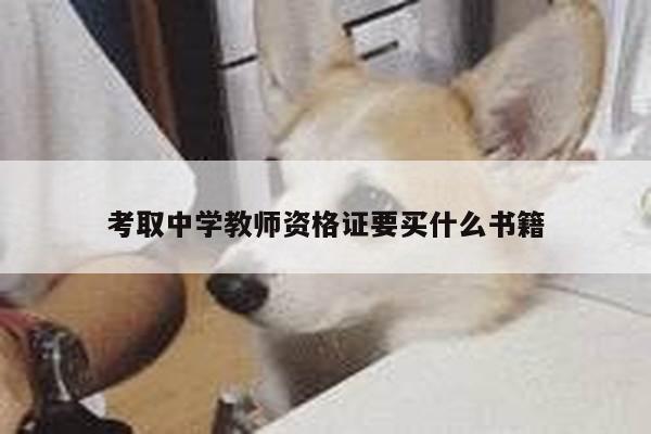 考取中学教师资格证要买什么书籍