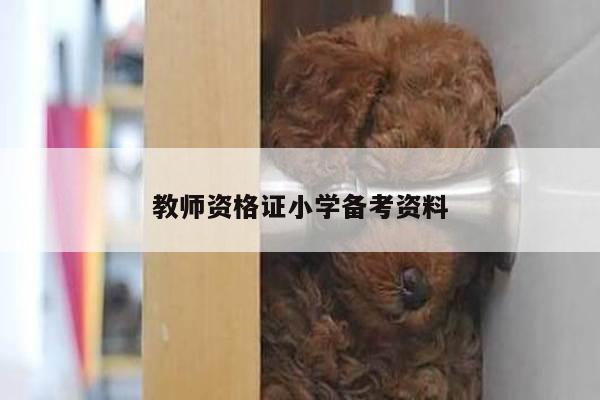教师资格证小学备考资料