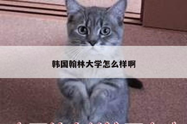 韩国翰林大学怎么样啊
