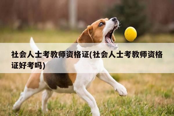 社会人士考教师资格证(社会人士考教师资格证好考吗)