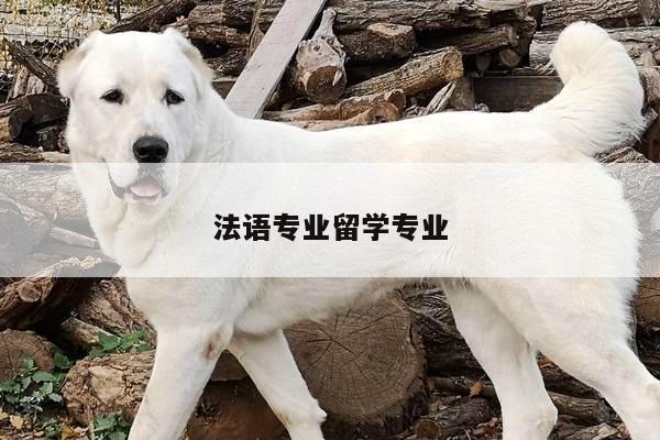 法语专业留学专业