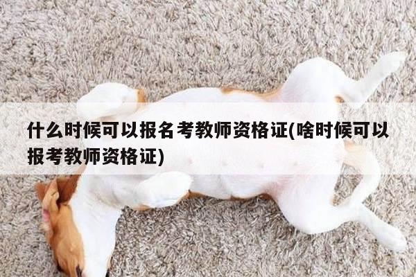 什么时候可以报名考教师资格证(啥时候可以报考教师资格证)