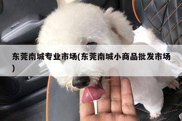 东莞南城专业市场(东莞南城小商品批发市场)