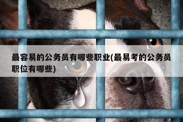 最容易的公务员有哪些职业(最易考的公务员职位有哪些)