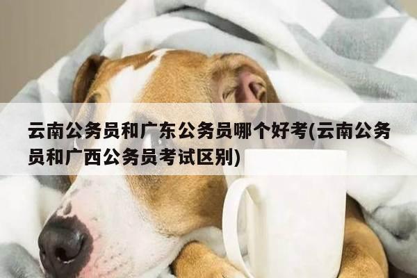 云南公务员和广东公务员哪个好考(云南公务员和广西公务员考试区别)
