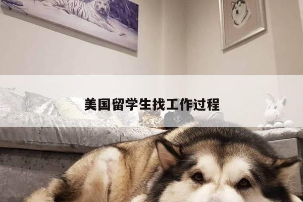 美国留学生找工作过程