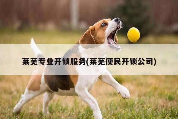 莱芜专业开锁服务(莱芜便民开锁公司)