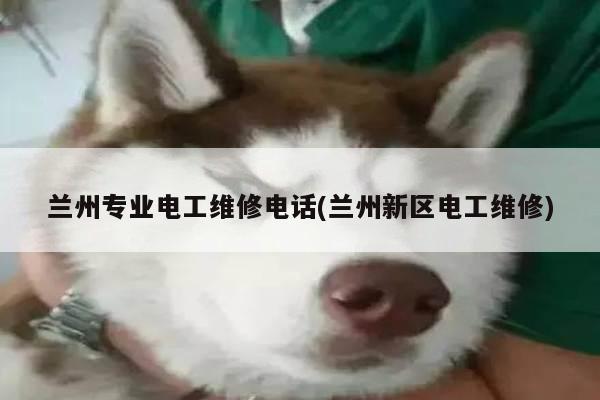 兰州专业电工维修电话(兰州新区电工维修)