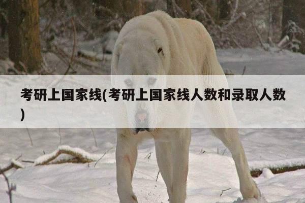 考研上国家线(考研上国家线人数和录取人数)