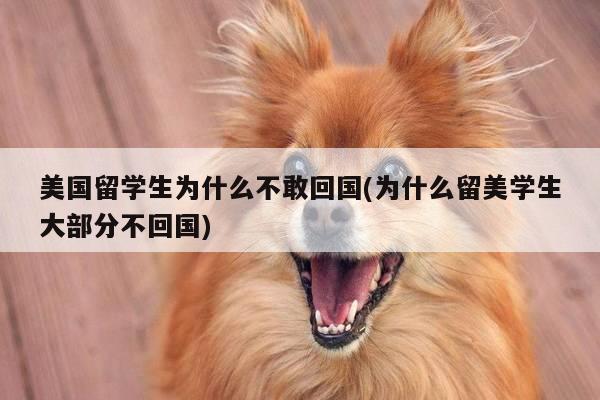 美国留学生为什么不敢回国(为什么留美学生大部分不回国)