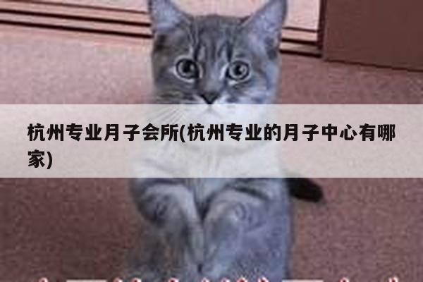 杭州专业月子会所(杭州专业的月子中心有哪家)
