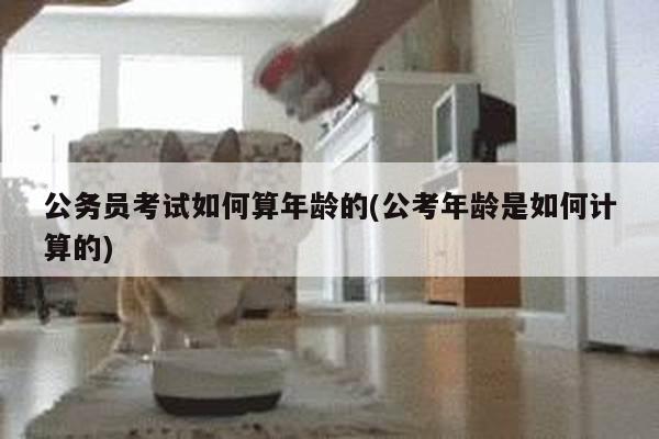 公务员考试如何算年龄的(公考年龄是如何计算的)