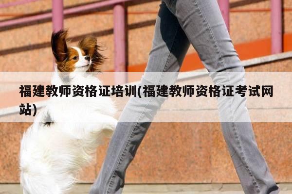 福建教师资格证培训(福建教师资格证考试网站)