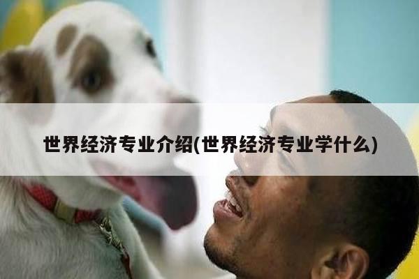 世界经济专业介绍(世界经济专业学什么)