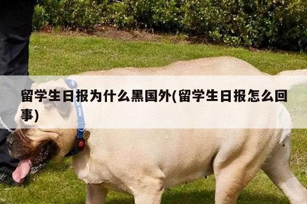 留学生日报为什么黑国外(留学生日报怎么回事)