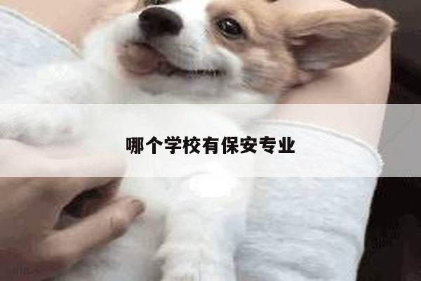 哪个学校有保安专业
